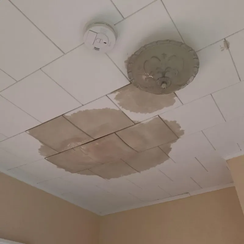 Ceiling Water Damage Repair in Waverly, NE