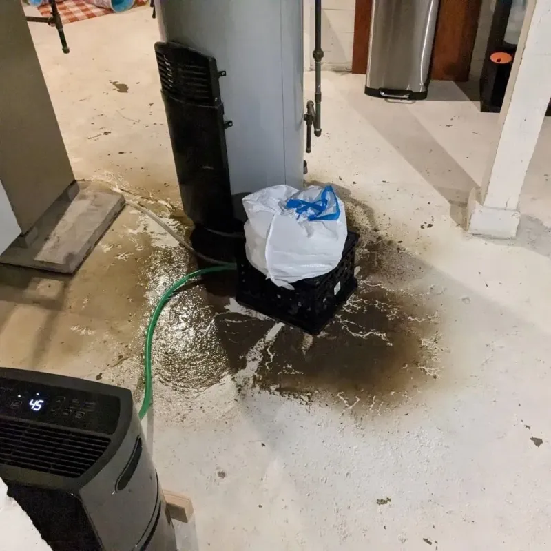 Sewage Backup Cleanup Service in Waverly, NE